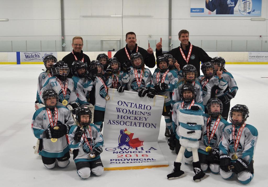 2015_16_Novice_B_-_Gold_-_OWHA_Provincial_Championships.JPG