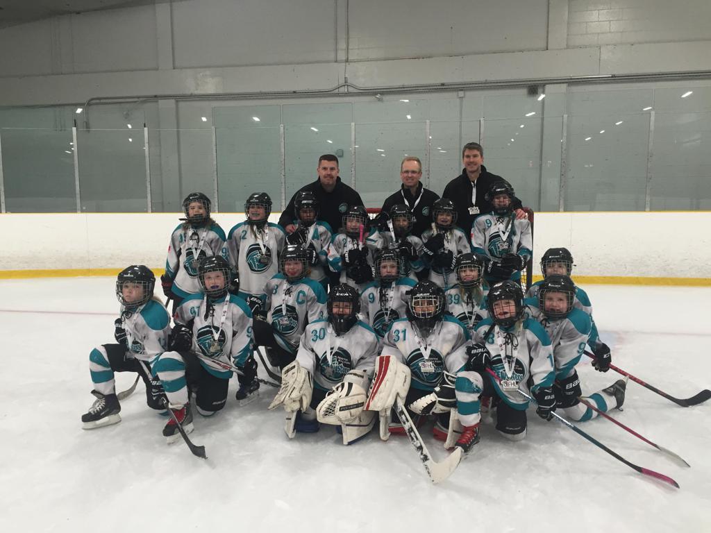 2015_16_Novice_B_Silver_LLFHL_Best_of_the_Best.JPG