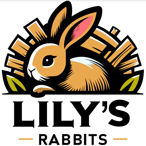 Lilly's Rabbits 